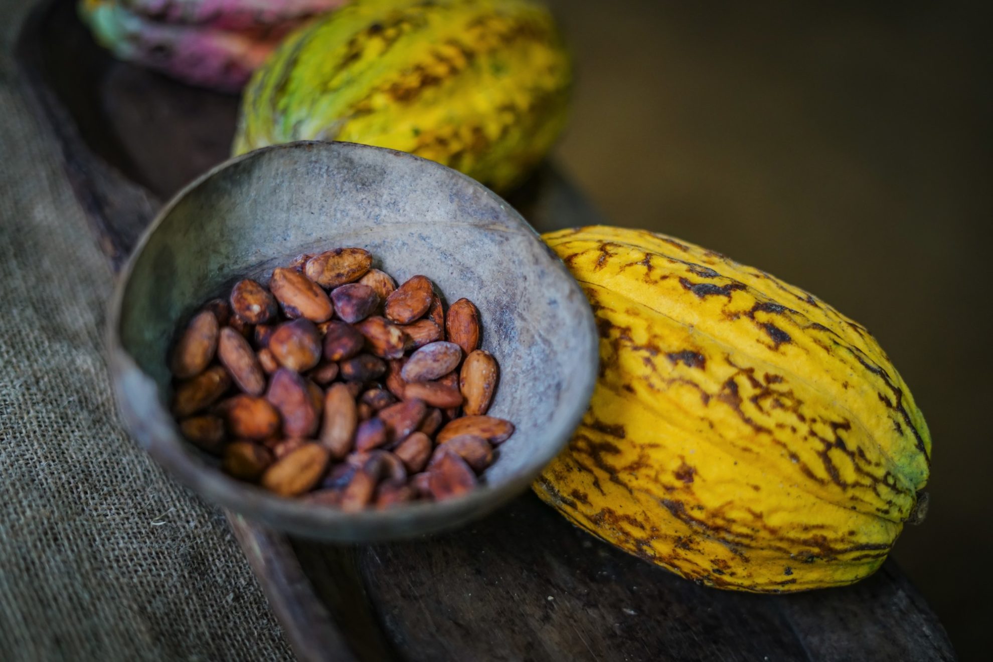 Gallery Rainforest Chocolate Tour